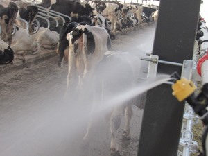 91短视频在线下载噴淋
