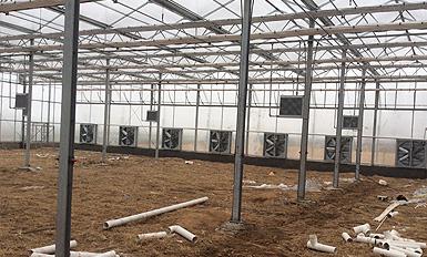 大棚風機成人91短视频下载